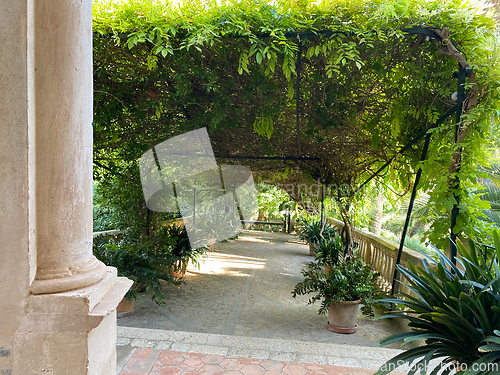 Image of beautiful garden in Mallorca