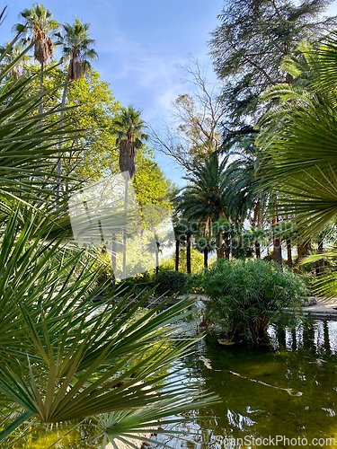Image of beautiful garden in Mallorca