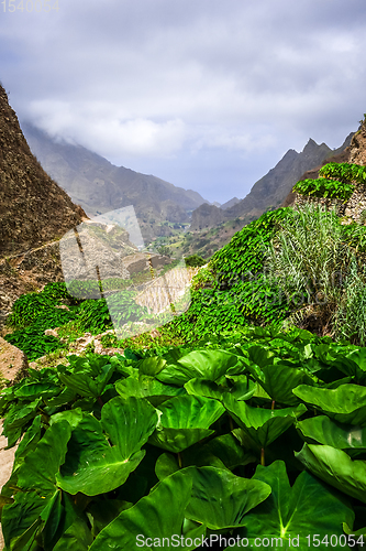Image of Paul Valley landscape in Santo Antao island, Cape Verde