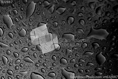 Image of Black Water Droplets