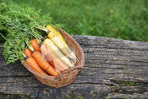 Image of Carrots