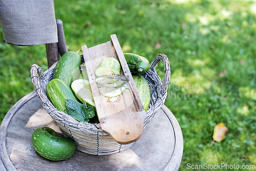 Image of Cucumber