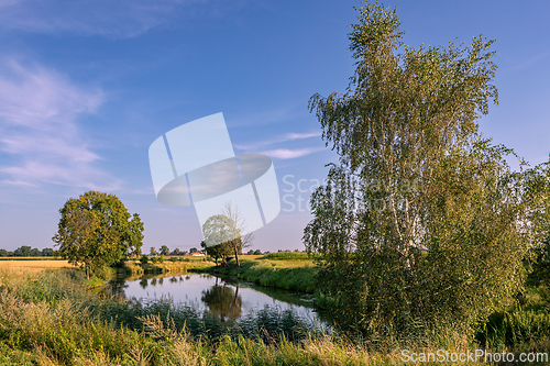 Image of Summer afternoon at a small pond.