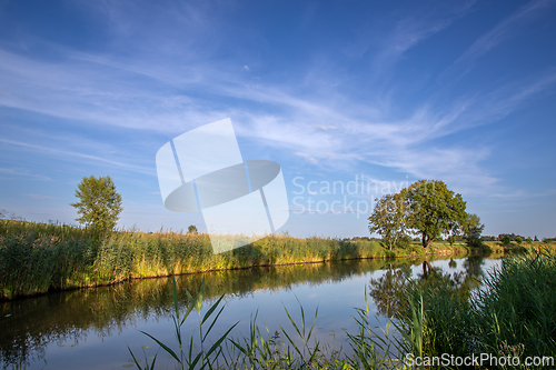 Image of Summer afternoon at a small pond.