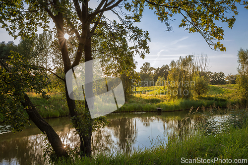 Image of Summer afternoon at a small pond.