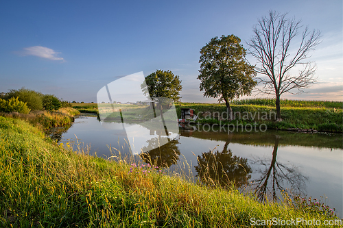 Image of Summer afternoon at a small pond.