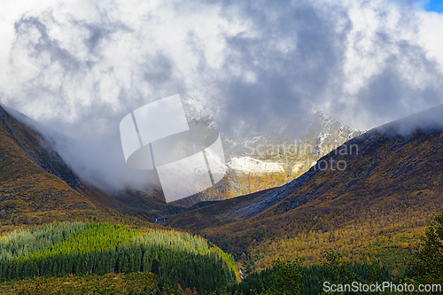 Image of A vibrant valley nestled in the mountains showcases colorful fol