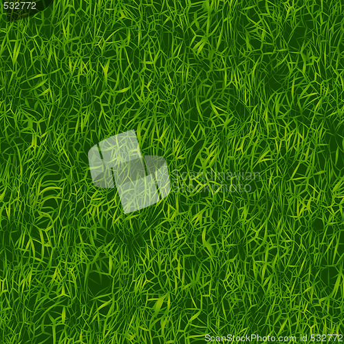 Image of Green Grass Pattern