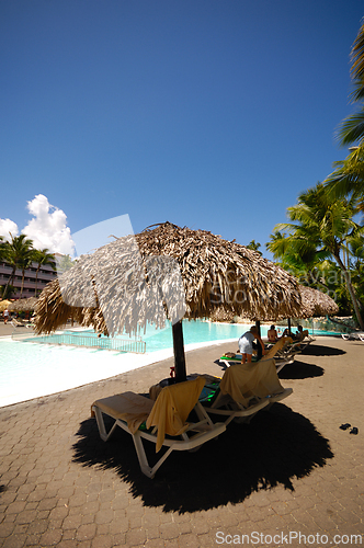 Image of Swimming pool with palm trees