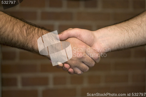 Image of Firm Handshake