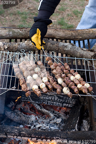 Image of Shish Kebabs