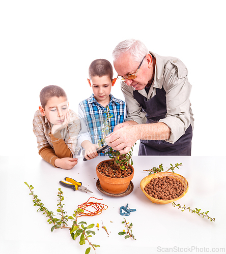 Image of Gardener teaching grandsons