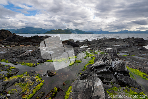 Image of Rocky shoreline adorned with vibrant green seaweed under a cloud