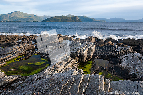 Image of Rocky shoreline with vibrant tide pools and distant mountains du