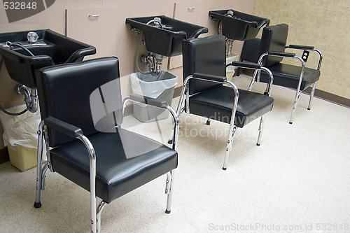 Image of Salon Hair Sinks