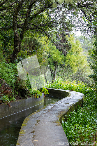 Image of beautiful Madeira landscape