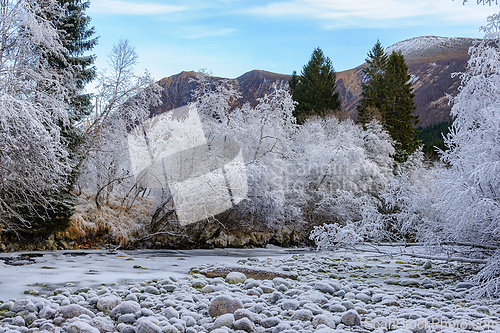 Image of A frozen river flows through a snowy forest in the mountains