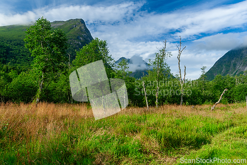 Image of A breathtaking landscape featuring lush green fields and majesti