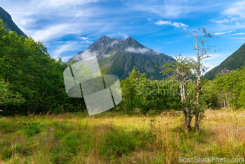 Image of Majestic mountain landscape adorned with lush greenery under a v