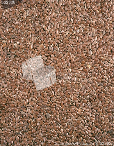 Image of Closeup view of flix seeds - background