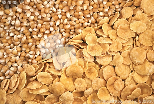 Image of corn seeds and corn-flakes