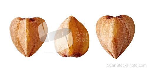 Image of buckwheat groats macro