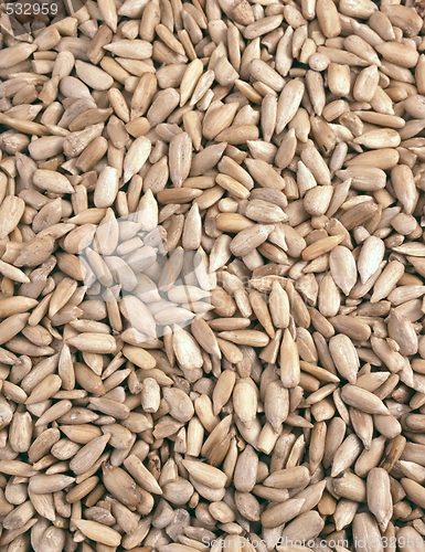 Image of sunflower seeds - background