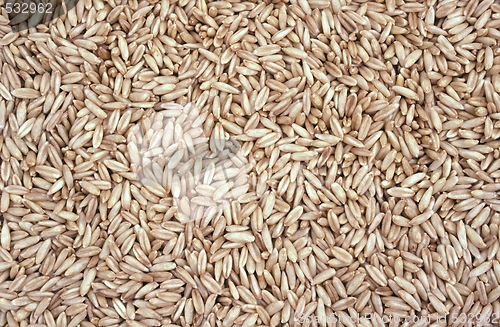 Image of Oats background