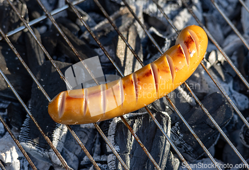 Image of freshly grilled sausage