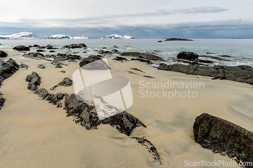 Image of A sandy beach with dark rocks and seaweed, overlooking the ocean