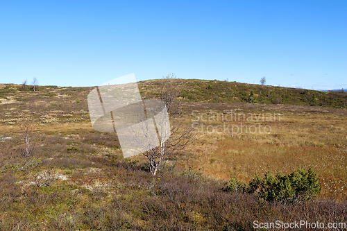 Image of Valdres