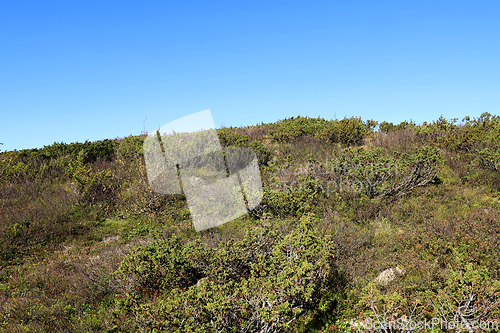 Image of Valdres