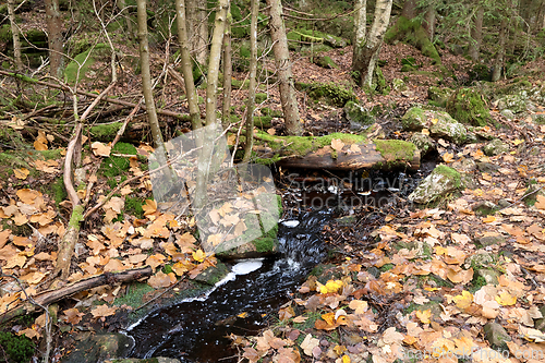 Image of &Oslash;stmarka