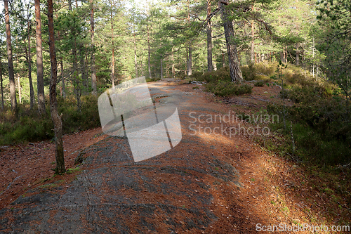Image of &Oslash;stmarka