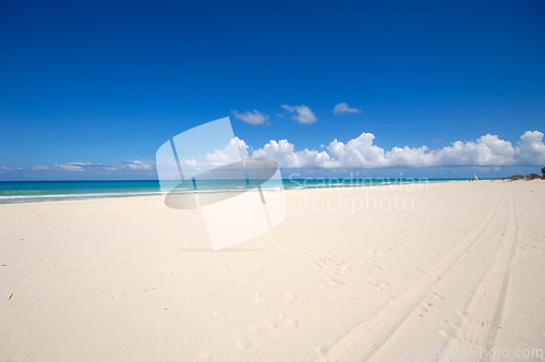 Image of Costline at tropical beach