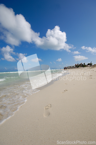 Image of Costline at tropical beach