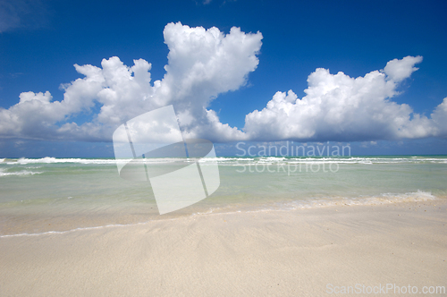 Image of Costline at tropical beach