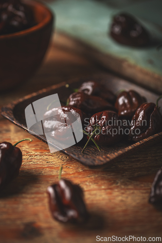 Image of Chocolate habanero peppers