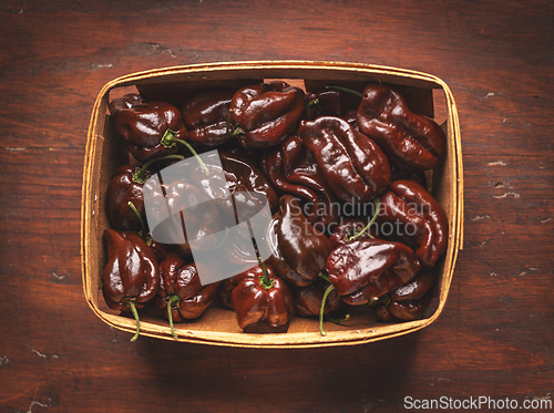 Image of Chocolate scotch bonnet peppers