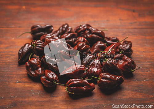 Image of Chocolate scotch bonnet peppers