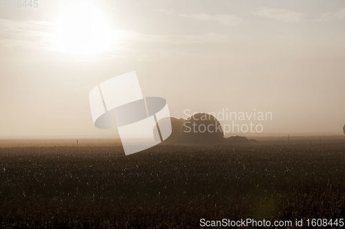 Image of an agricultural field