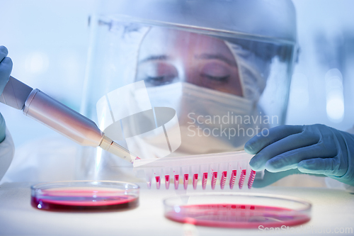 Image of Female scientist working in the corona virus vaccine development laboratory research with a highest degree of protection gear.
