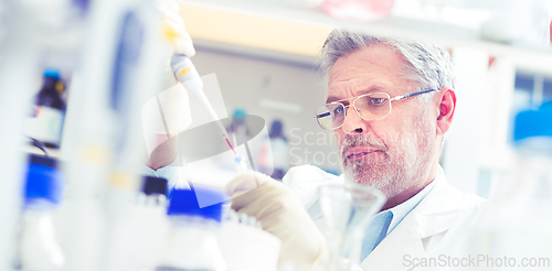 Image of Life scientist researching in the laboratory.