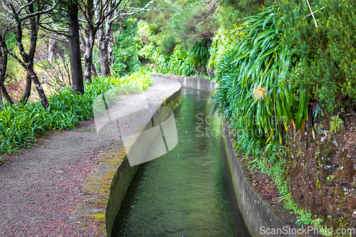 Image of beautiful Madeira landscape