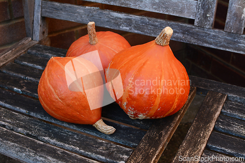 Image of Three orange Hokkaido pumpkins on a rustic wooden bench