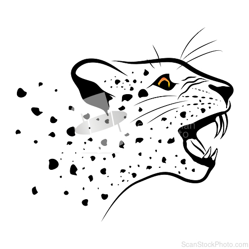Image of Abstract portrait of leopard over white