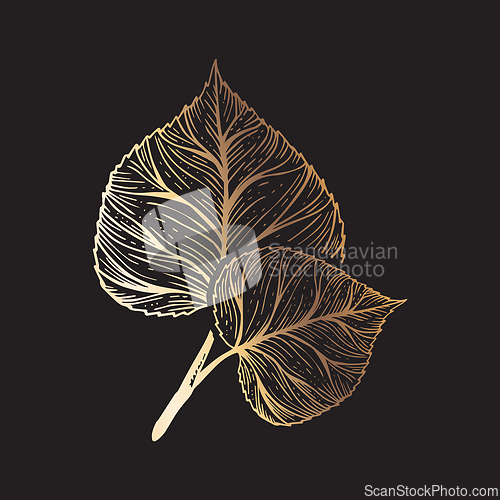 Image of Sceleton leaves in gold over dark background