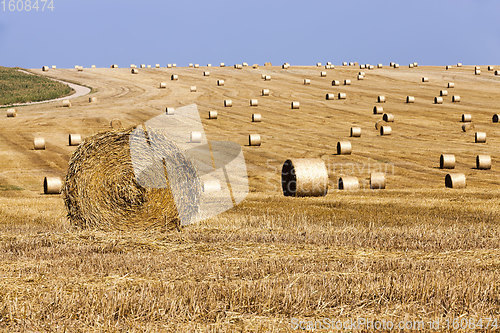 Image of agricultural field with straw stacks