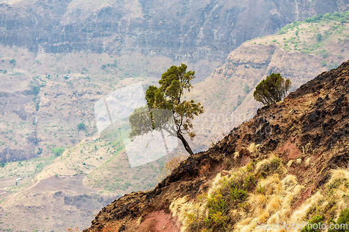 Image of Semien or Simien Mountains National Park, Ethiopia wilderness landscape