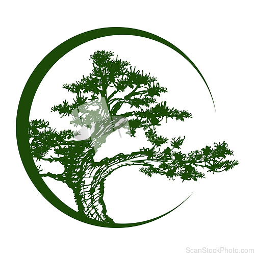 Image of Pine tree in the circle over white